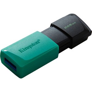 Kingston DataTraveler Exodia M 256GB