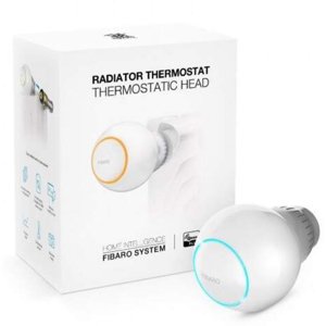 Fibaro FGT-001 ZW5 EU