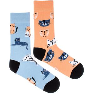 Fusakle Cats S 35 - 38