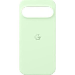 Google Pixel 9/9 Pro Case Wintergreen