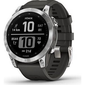 Garmin Fenix 7 Silver/Graphite Band