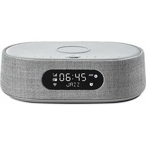 Harman Kardon Citation Oasis sivý