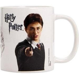 Harry Potter – Icon – hrnček