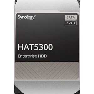 Synology HAT5300-12T