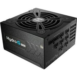 FSP Fortron Hydro G PRO ATX3.0(PCIe5.0) 1 000 W