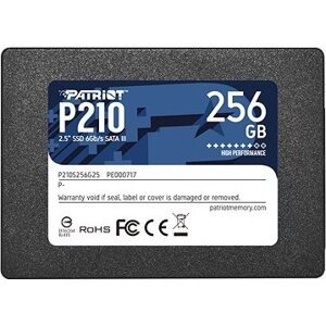 Patriot P210 256GB