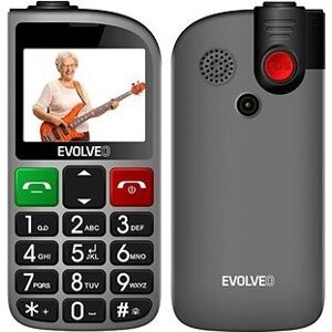 EVOLVEO EasyPhone FL strieborná