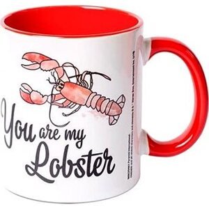 Friends – You are my Lobster – hrnček