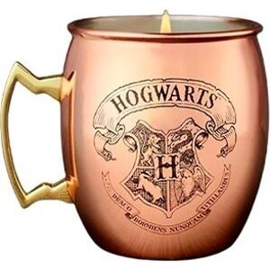 Charmed Aroma Harry Potter Copper – Medený hrnček 396 g + strieborný náhrdelník 1 ks